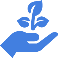 Bespoke Growth Strategy